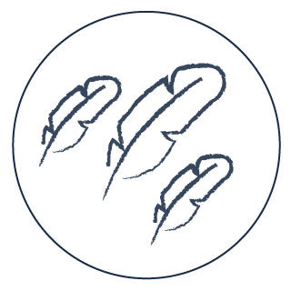 soft icon of feathers