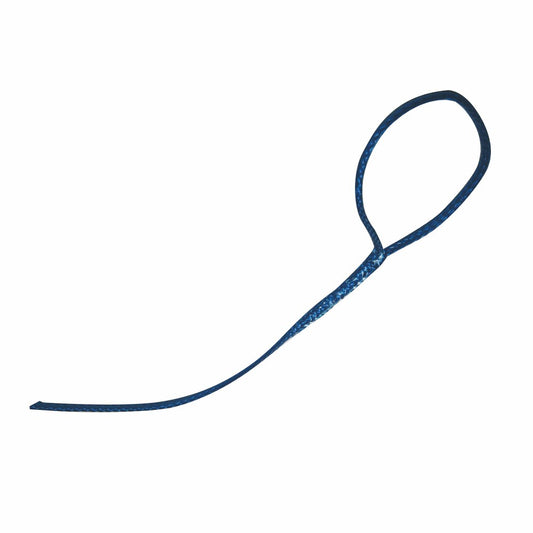 Laser/ILCA Cunningham Tang Loop.