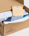 Zapatilas SB2 Deck Trainers