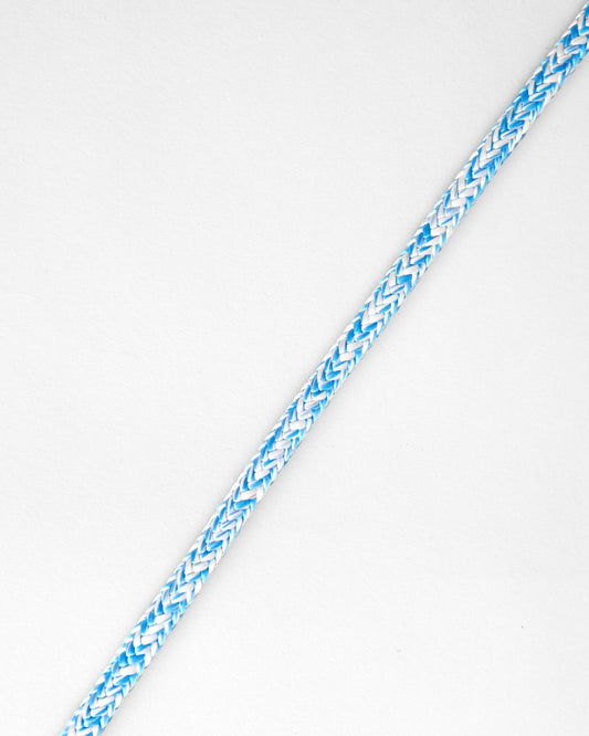 Blue/White