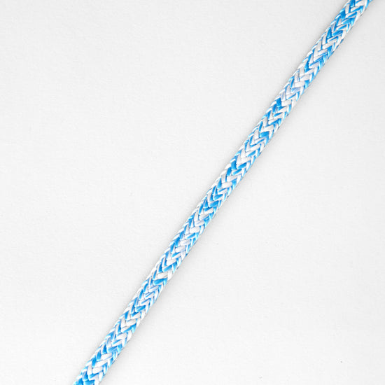 Blue/White