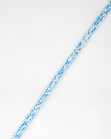 Blue/White