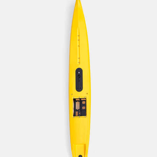 Metalic Yellow